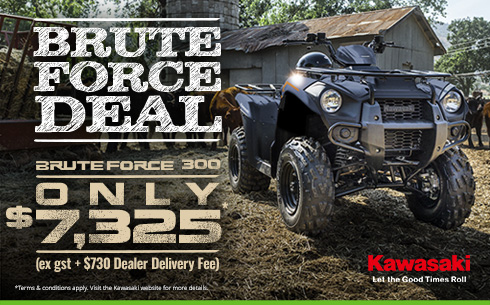 BRUTE FORCE DEALS