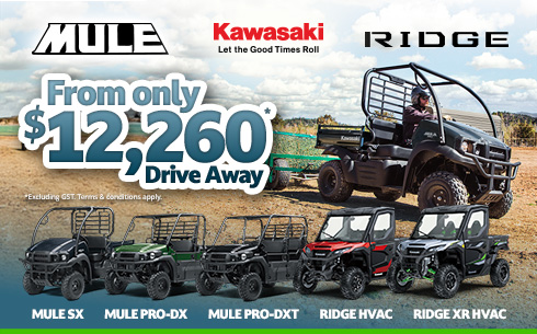 MULE & RIDGE SAVINGS