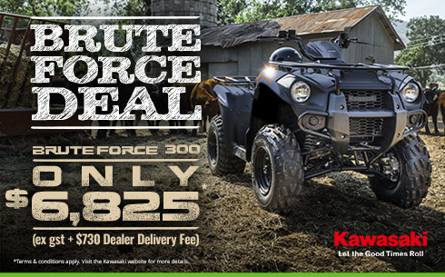 BRUTE FORCE DEALS
