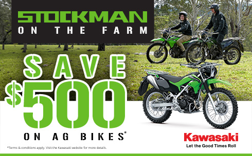 STOCKMAN ON FARM