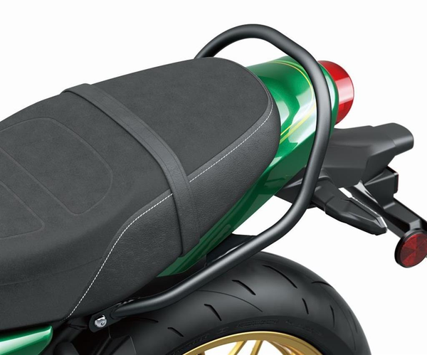 Passenger Grab Bar