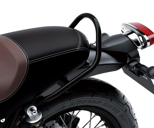 Passenger Grab Bar