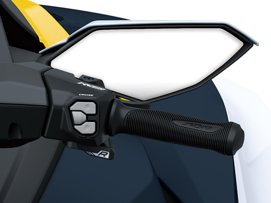 Adjustable Electronic Cruise Control